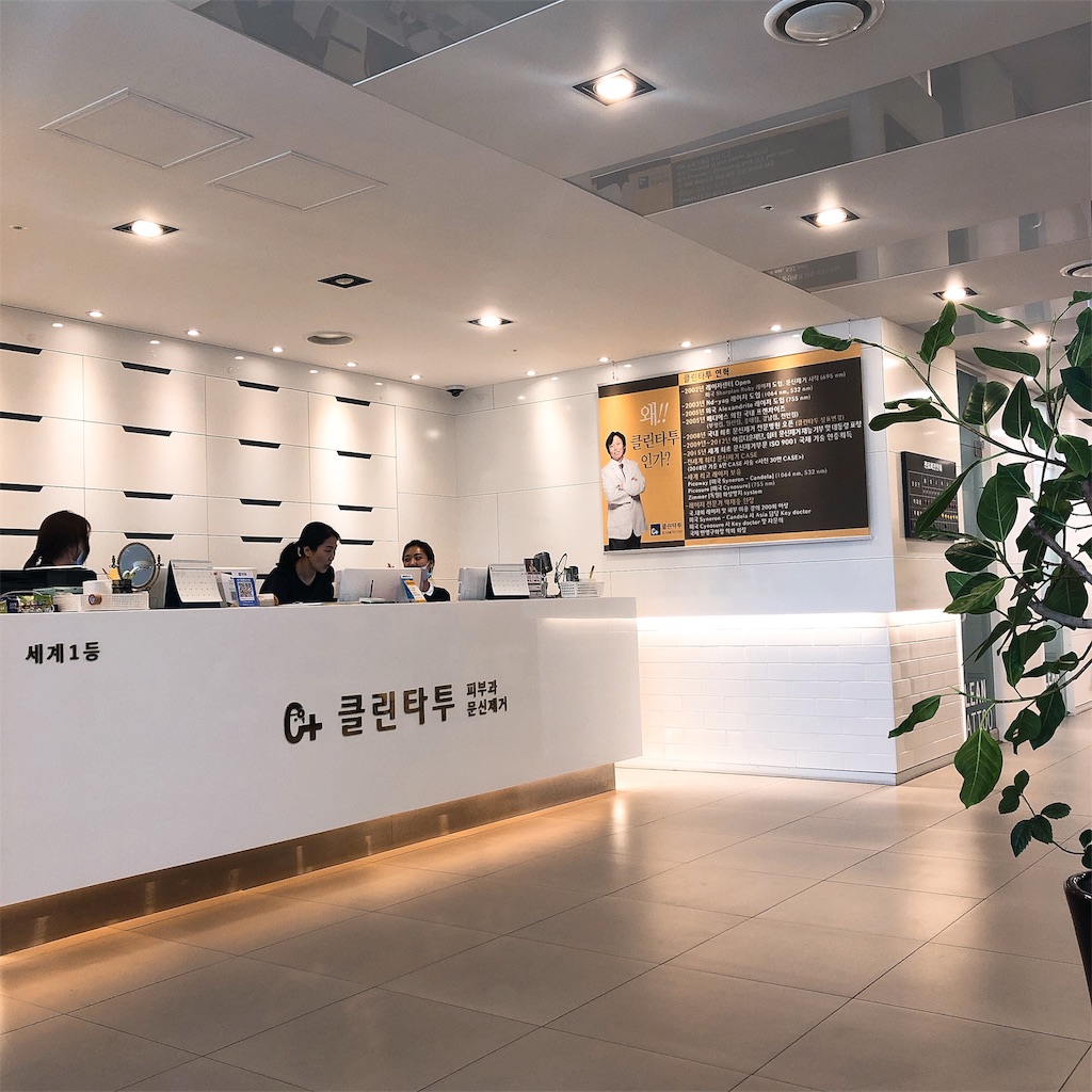 f:id:toxic-chia:20190608122017j:image
