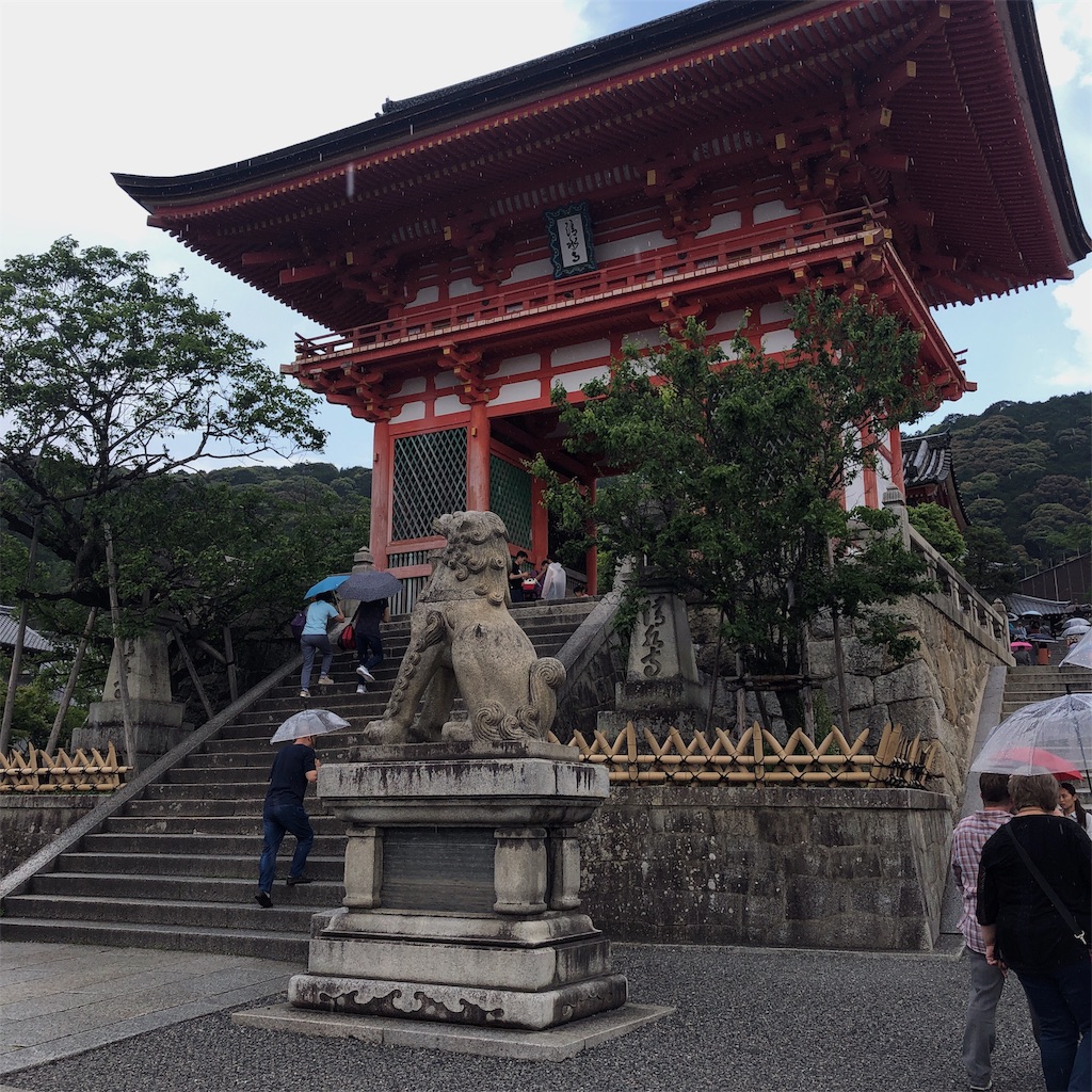 f:id:toxic-chia:20190617193303j:image