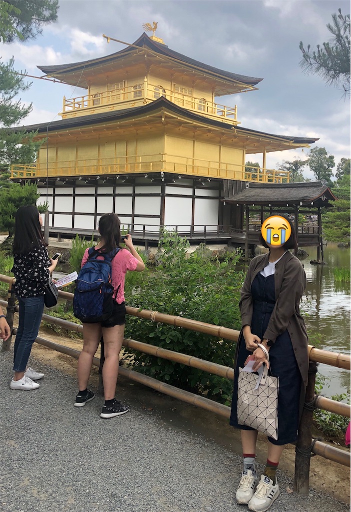f:id:toxic-chia:20190617193313j:image