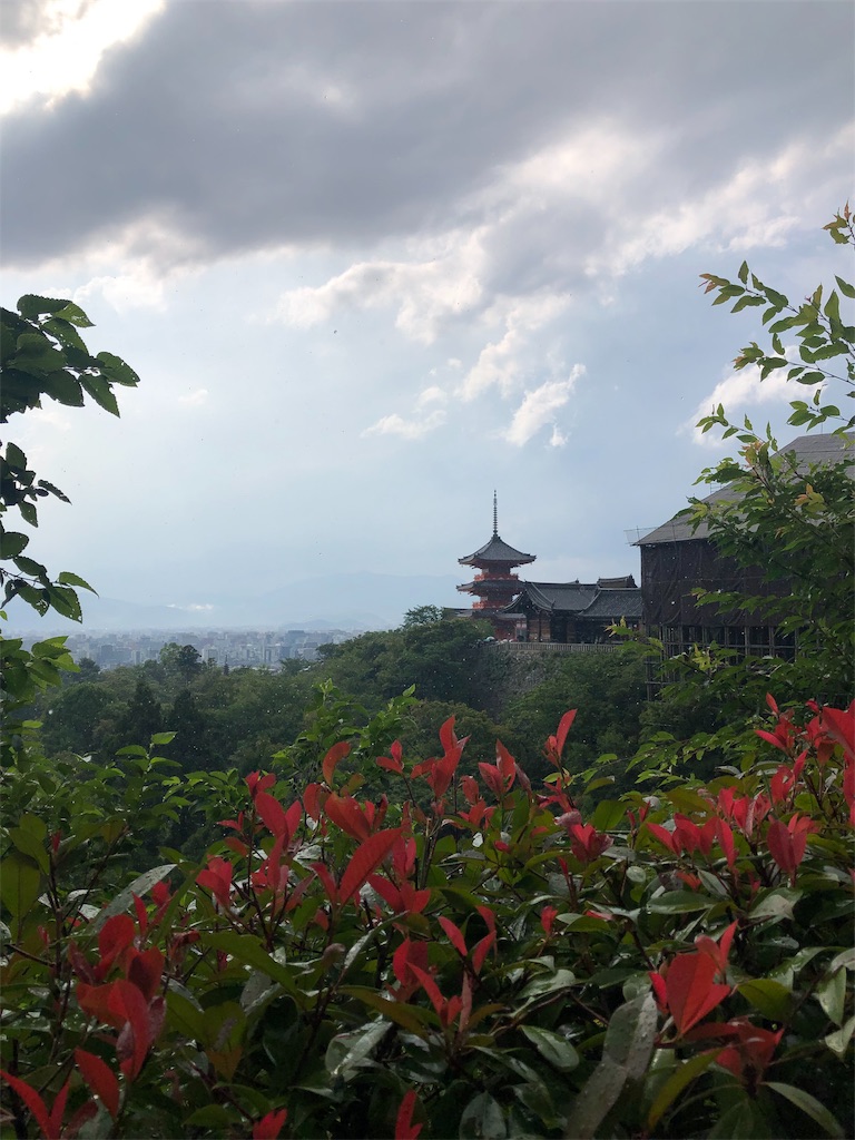 f:id:toxic-chia:20190617193337j:image