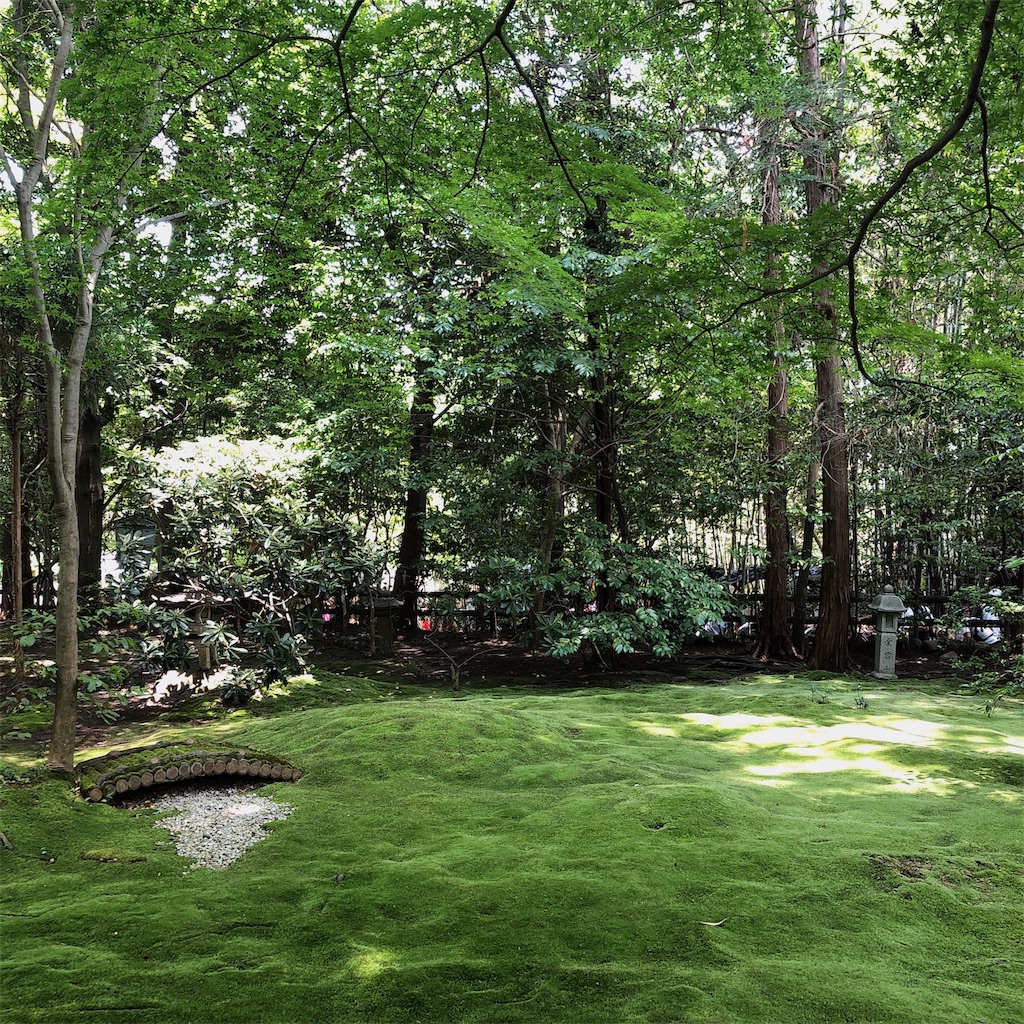 f:id:toxic-chia:20190617193342j:image
