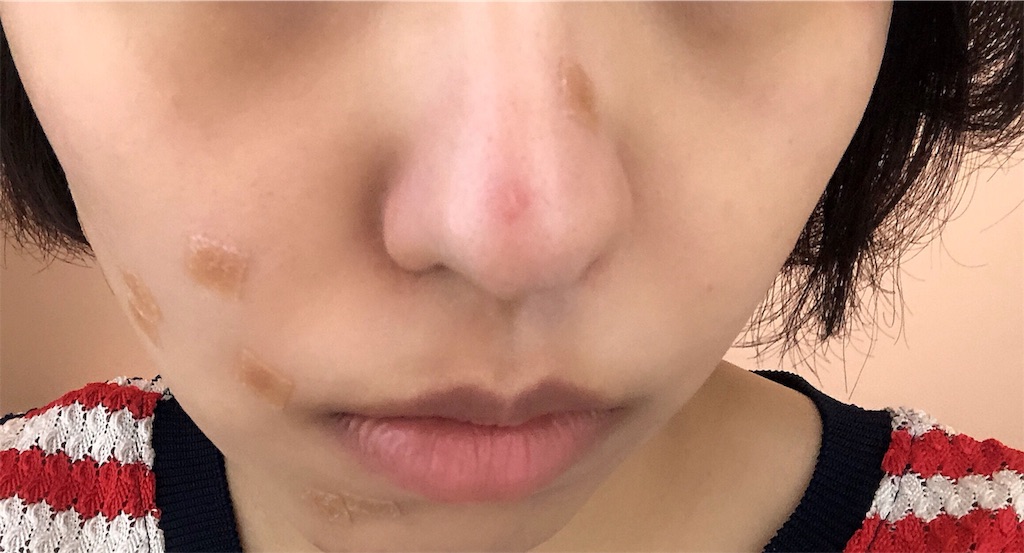 f:id:toxic-chia:20190619120716j:image
