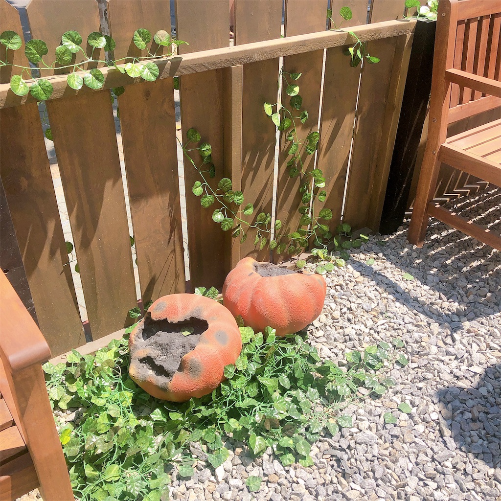 f:id:toxic-chia:20190626170203j:image f:id:toxic-chia:20190626170203j:image