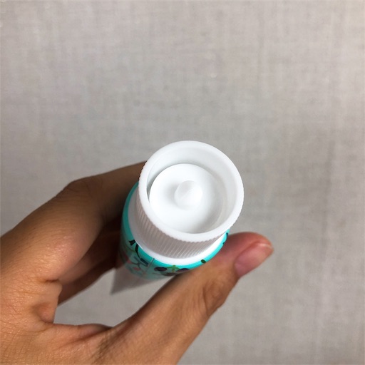 f:id:toxic-chia:20190717134135j:image