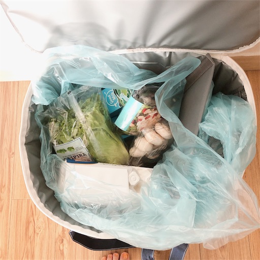 f:id:toxic-chia:20190722155413j:image