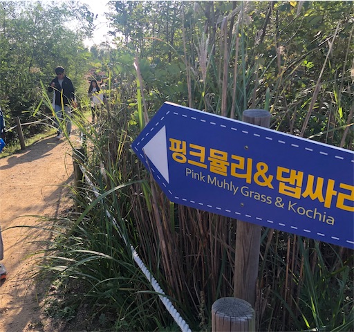 f:id:toxic-chia:20191021144602j:image