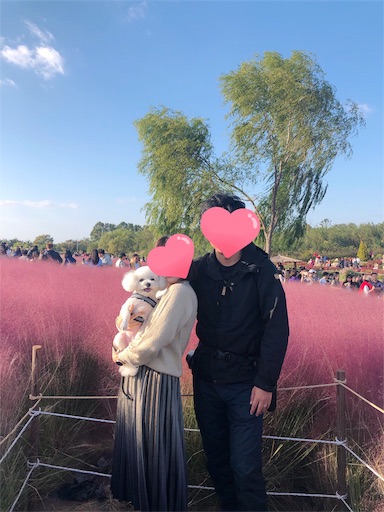 f:id:toxic-chia:20191021144604j:image