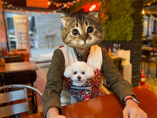 f:id:toxic-chia:20191204095107j:image