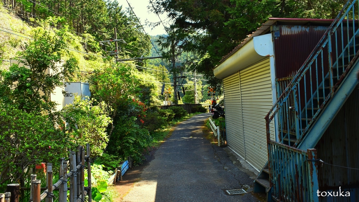 f:id:toxuka:20200409001735j:plain f:id:toxuka:20200409001735j:plain