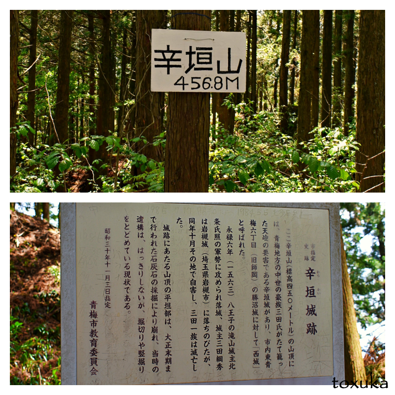 f:id:toxuka:20200409231913p:plain f:id:toxuka:20200409231913p:plain