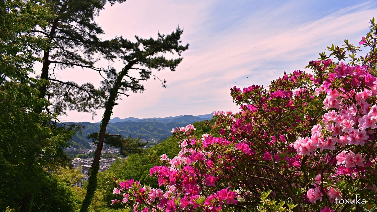 f:id:toxuka:20200411011439j:plain f:id:toxuka:20200411011439j:plain
