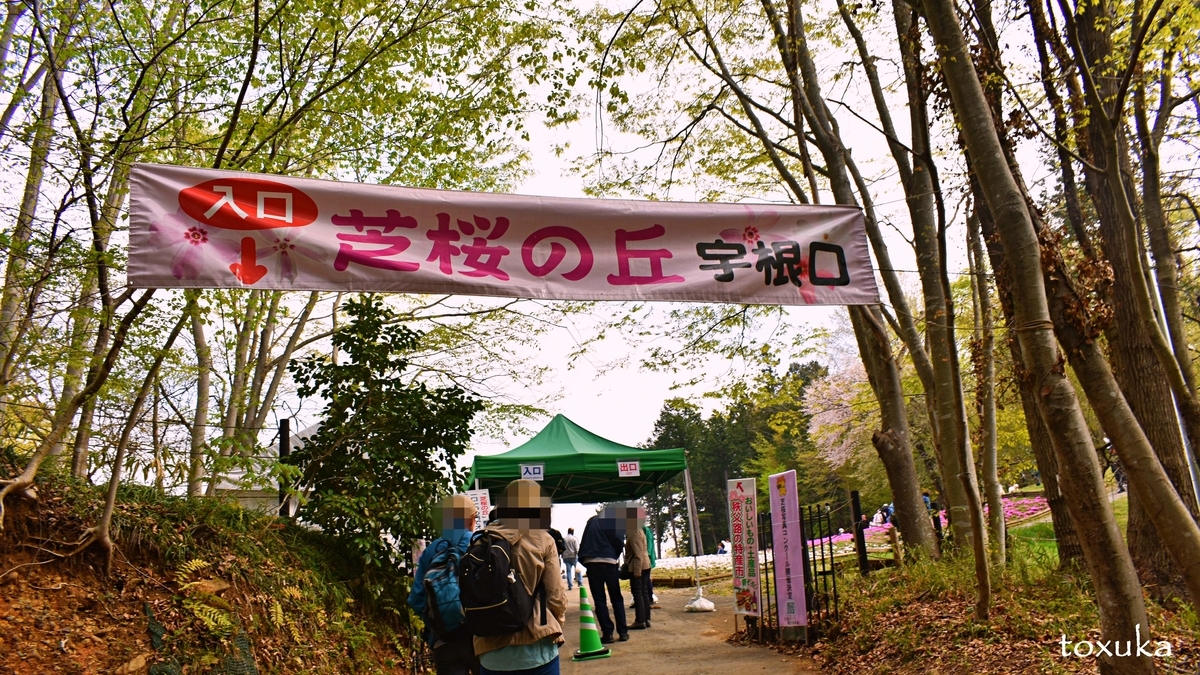 f:id:toxuka:20200417231233j:plain f:id:toxuka:20200417231233j:plain