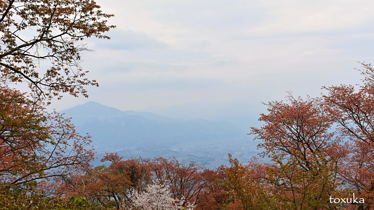 f:id:toxuka:20200418224019j:plain f:id:toxuka:20200418224019j:plain