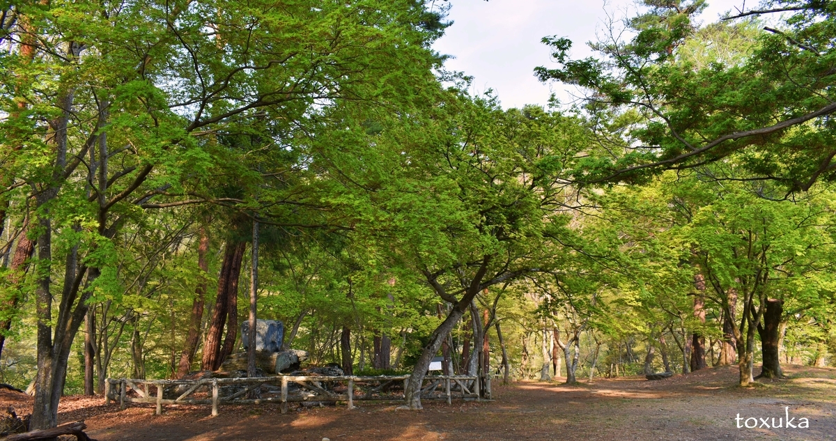 f:id:toxuka:20200419210518j:plain f:id:toxuka:20200419210518j:plain