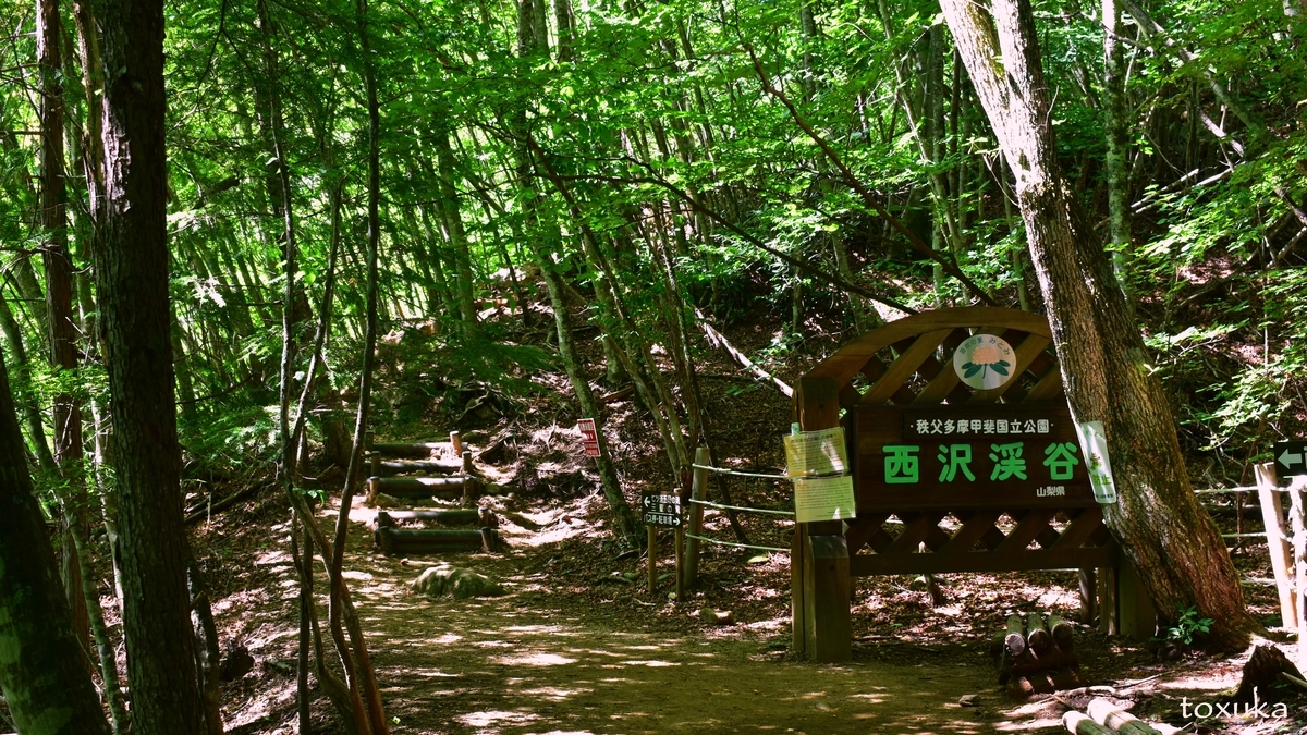 f:id:toxuka:20200429201915j:plain f:id:toxuka:20200429201915j:plain