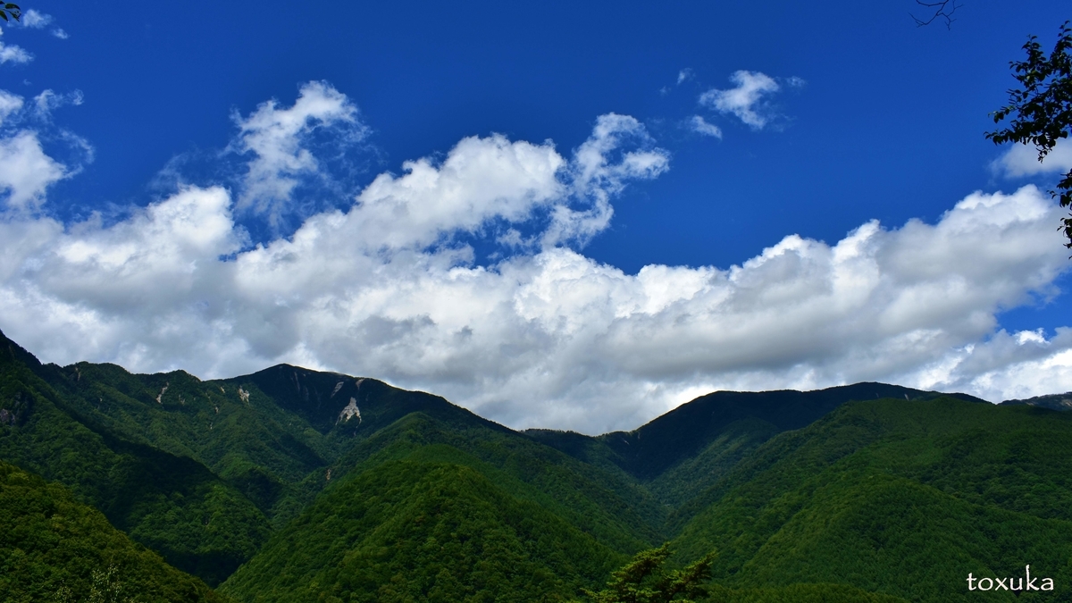 f:id:toxuka:20200430215415j:plain f:id:toxuka:20200430215415j:plain