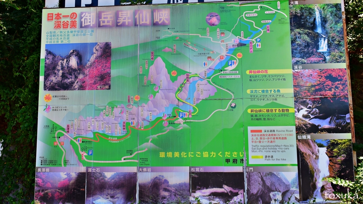 f:id:toxuka:20200504235528j:plain f:id:toxuka:20200504235528j:plain