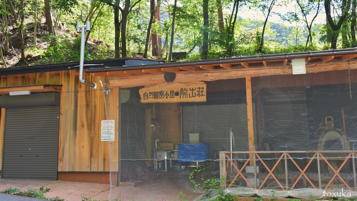 f:id:toxuka:20200505235421j:plain f:id:toxuka:20200505235421j:plain