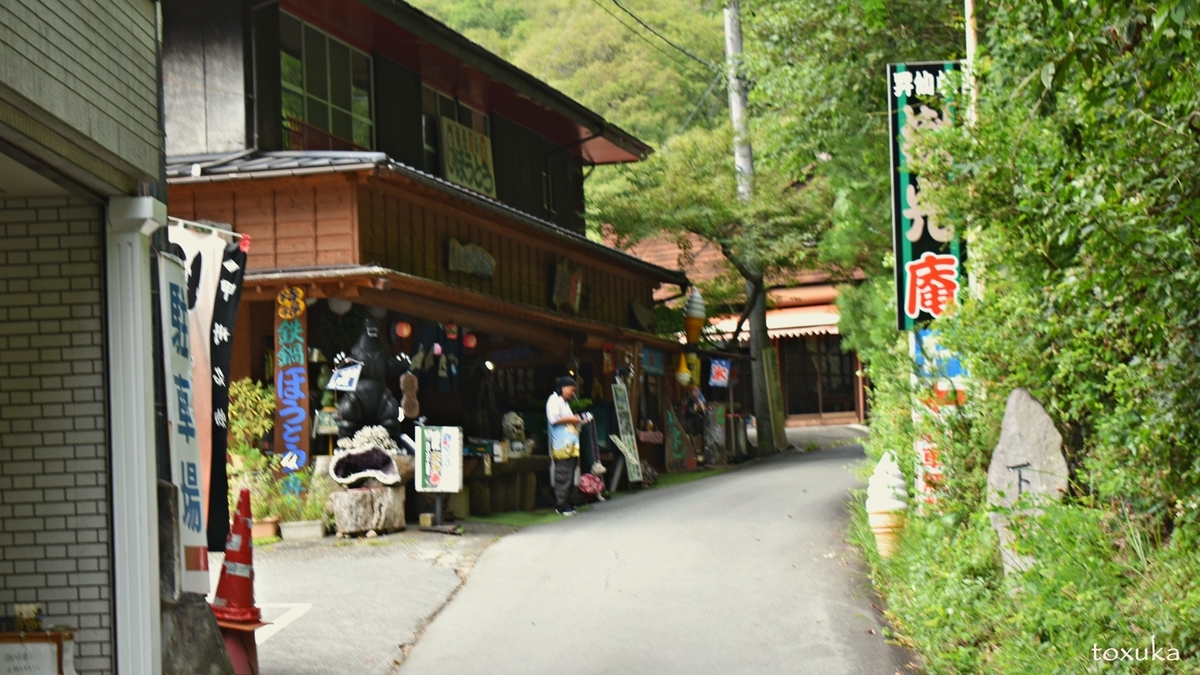 f:id:toxuka:20200506000759j:plain f:id:toxuka:20200506000759j:plain
