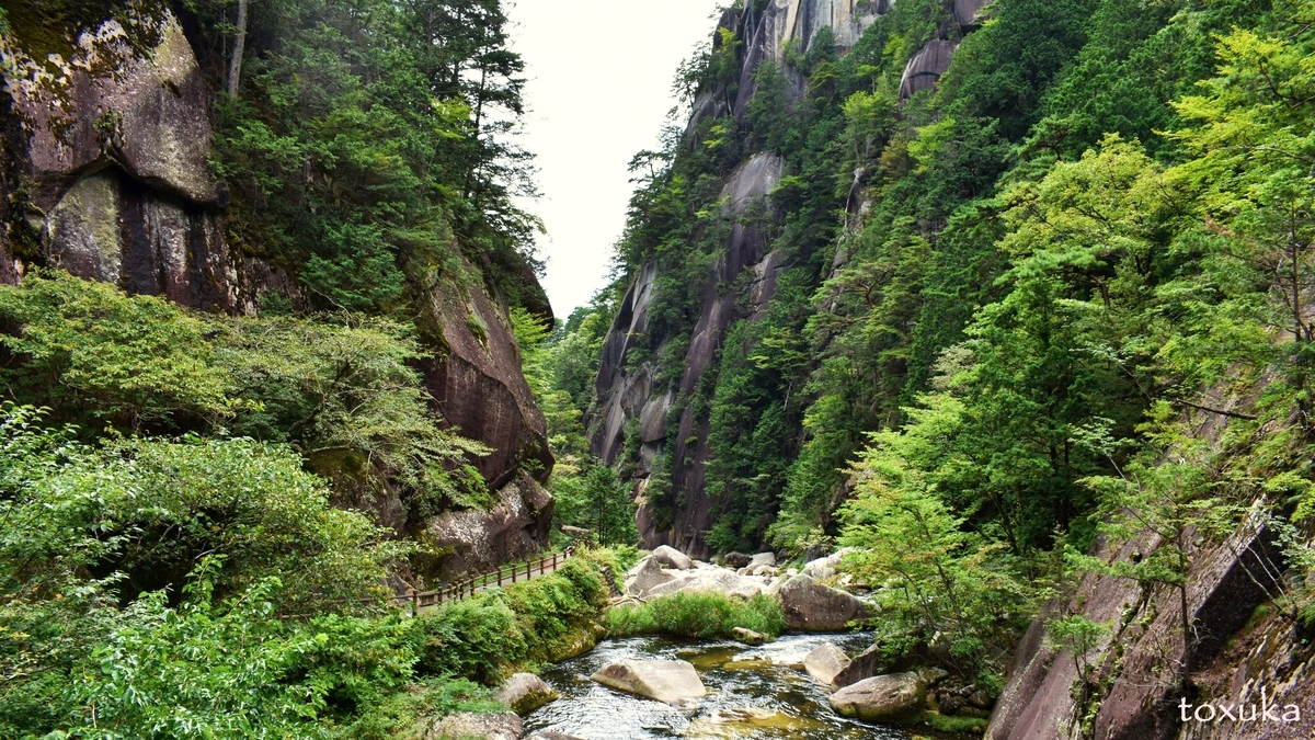 f:id:toxuka:20200506001602j:plain f:id:toxuka:20200506001602j:plain