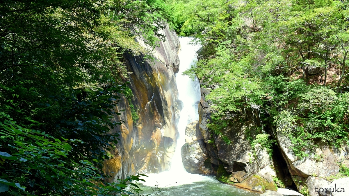 f:id:toxuka:20200506223534j:plain f:id:toxuka:20200506223534j:plain