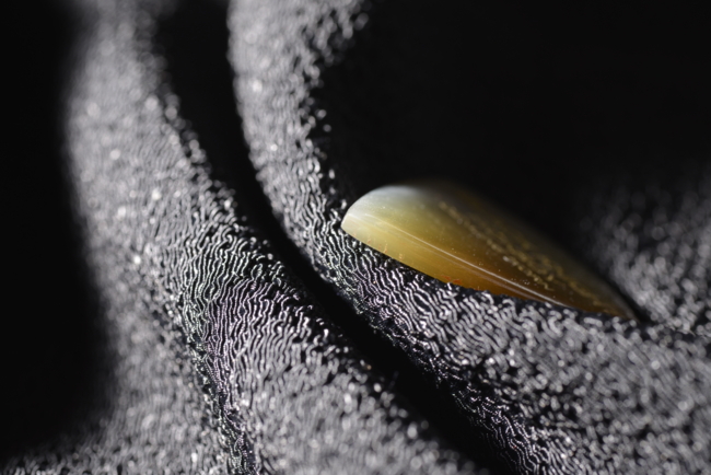 f:id:toy_love:20131227010349j:image f:id:toy_love:20131227010349j:image