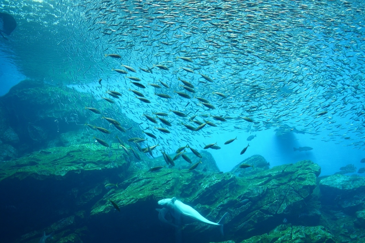 f:id:toy_love:20210901011205j:plain