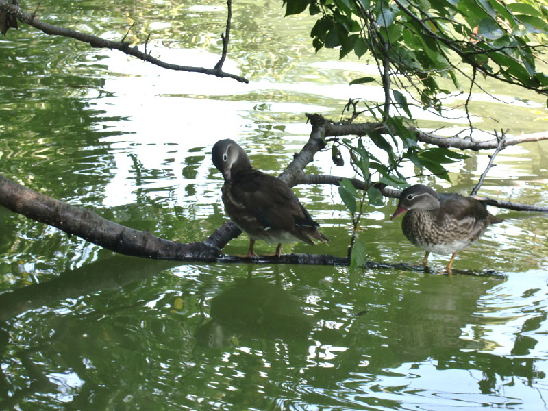 f:id:toya-108:20110812143848j:image:w360