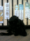 f:id:toya:20060531163042j:image:small