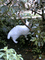 f:id:toya:20060715150835j:image:small