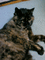 f:id:toya:20060715213947j:image:small