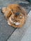 f:id:toya:20060808180200j:image:small