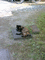 f:id:toya:20060827133046j:image:small