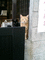 f:id:toya:20060908171652j:image:small