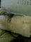f:id:toya:20060918202056j:image:small