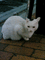f:id:toya:20060923195040j:image:small