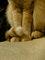 f:id:toya:20061111161203j:image:small