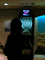 f:id:toya:20061202230222j:image:small