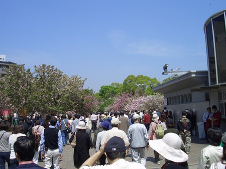 f:id:toya:20080421131148j:image