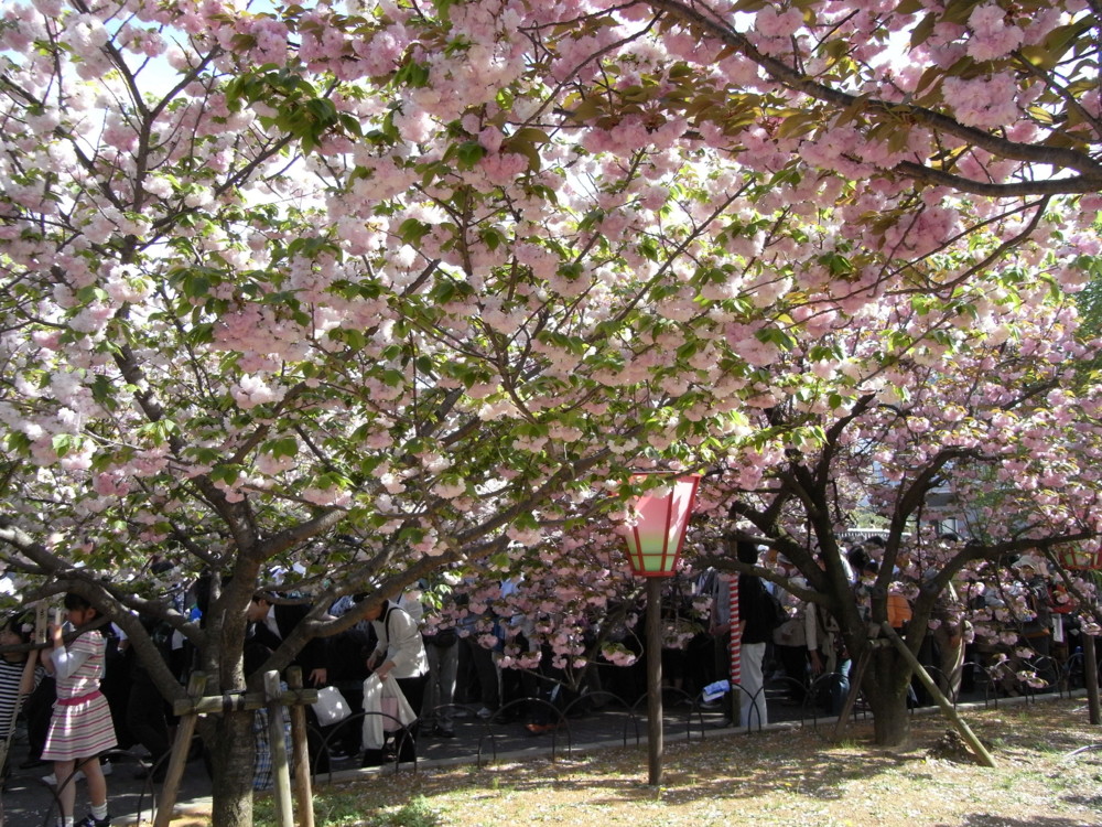 f:id:toya:20090418151740j:image:w400