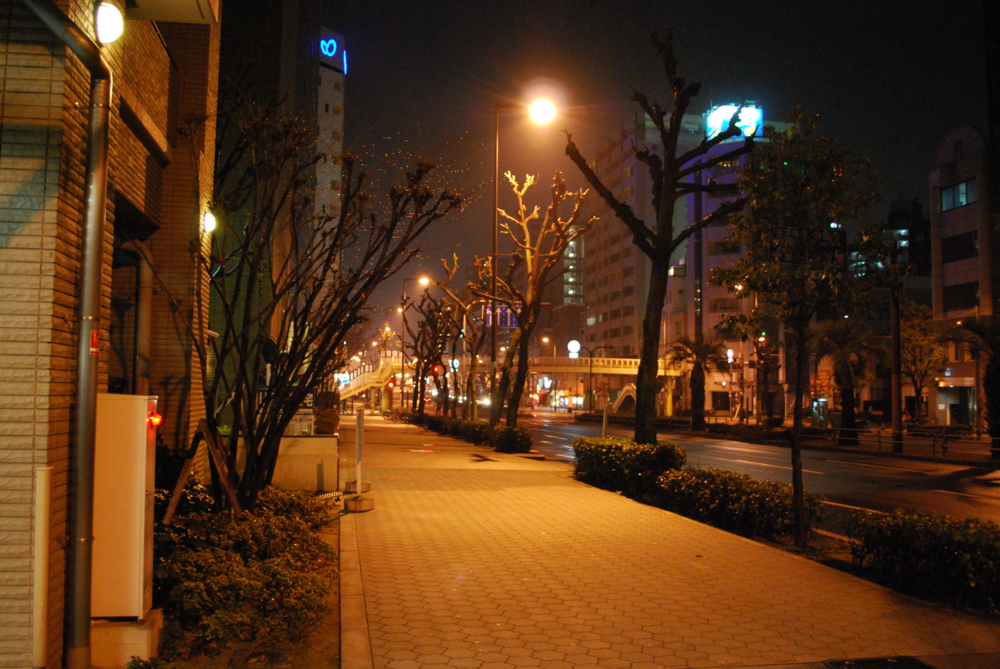 f:id:toya:20100206225453j:image:w400 f:id:toya:20100206225453j:image:w400