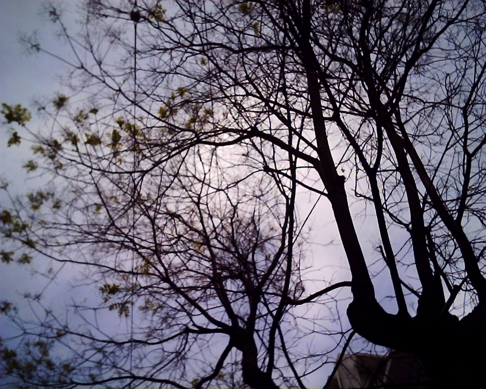 f:id:toya:20100509152425j:image:w300