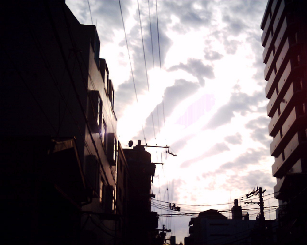 f:id:toya:20100509205622j:image:w300
