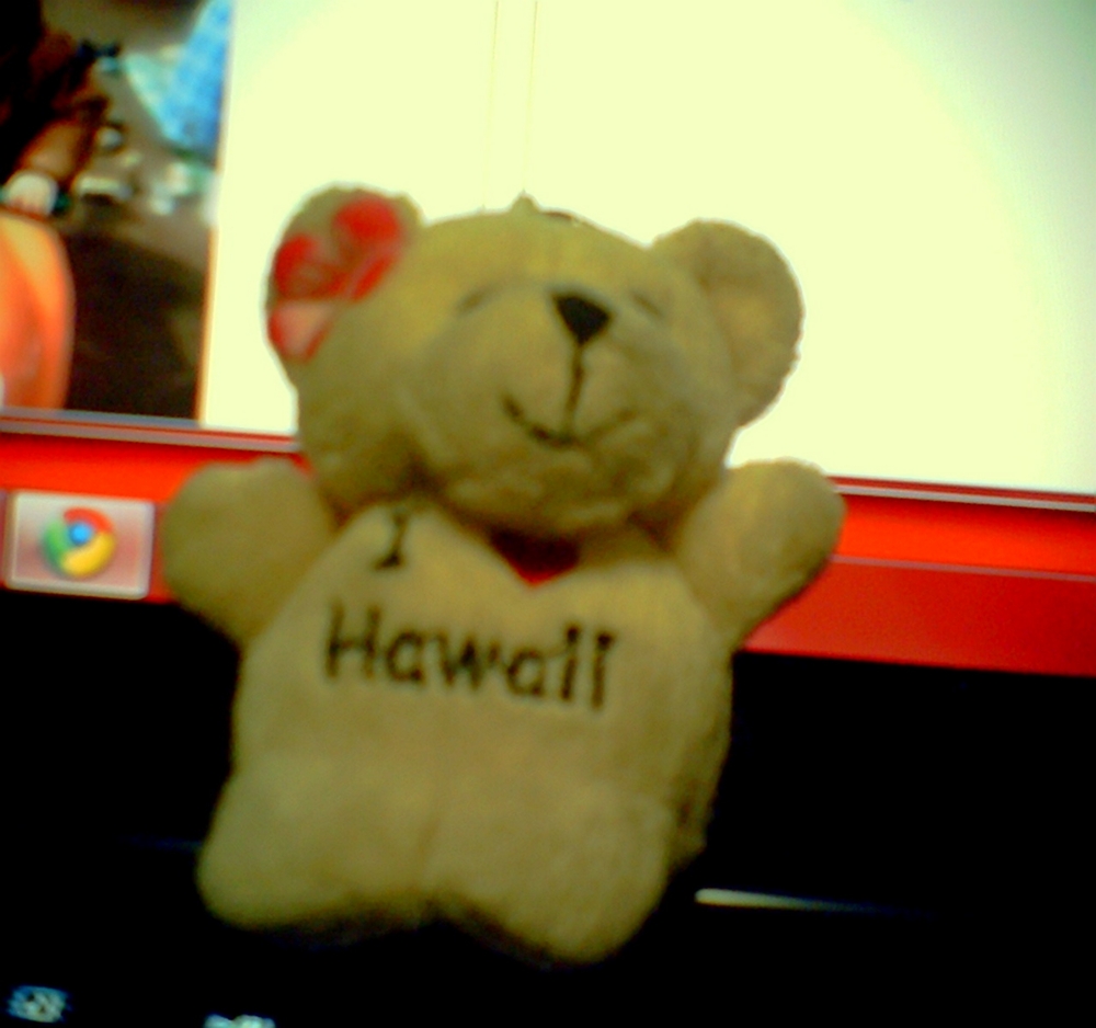 f:id:toya:20100703222325j:image:w300 f:id:toya:20100703222325j:image:w300