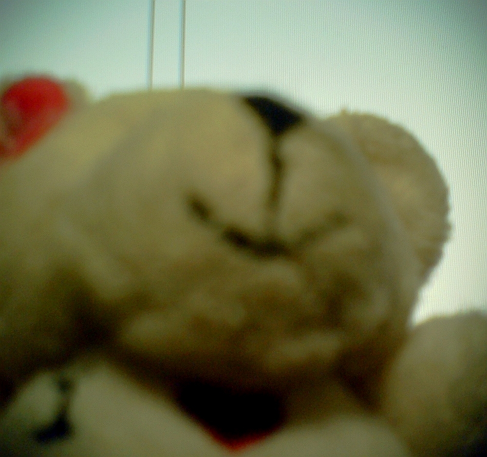 f:id:toya:20100703222326j:image:w300 f:id:toya:20100703222326j:image:w300