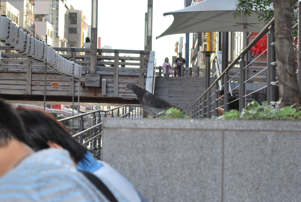 f:id:toya:20100718175525j:image:w300 f:id:toya:20100718175525j:image:w300