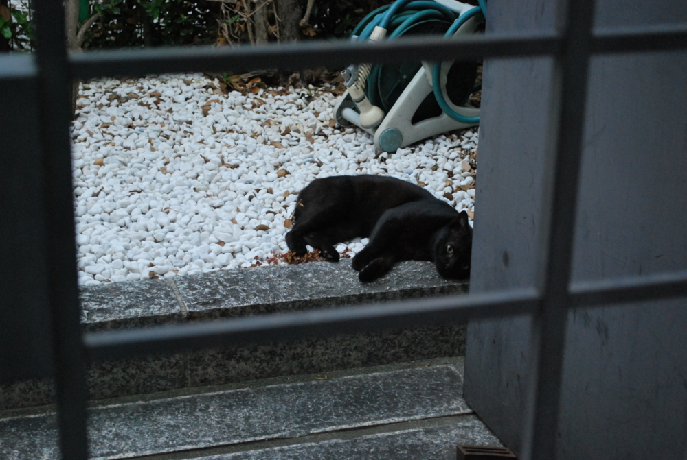 f:id:toya:20100718190430j:image:w300 f:id:toya:20100718190430j:image:w300