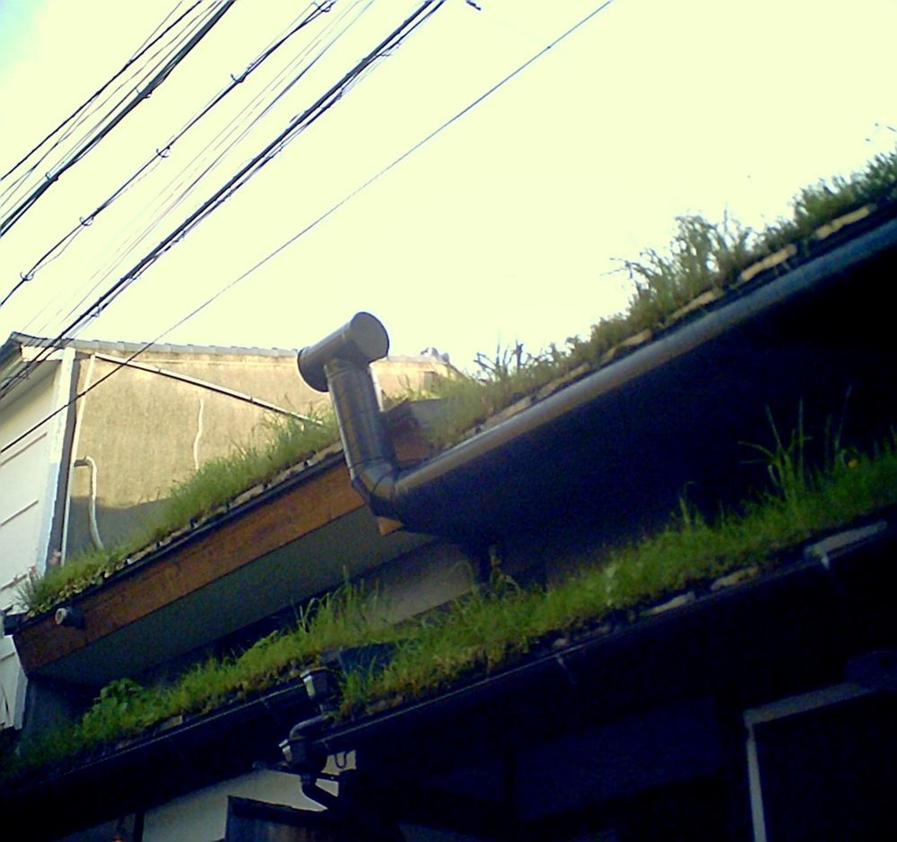 f:id:toya:20100719191757j:image:w100