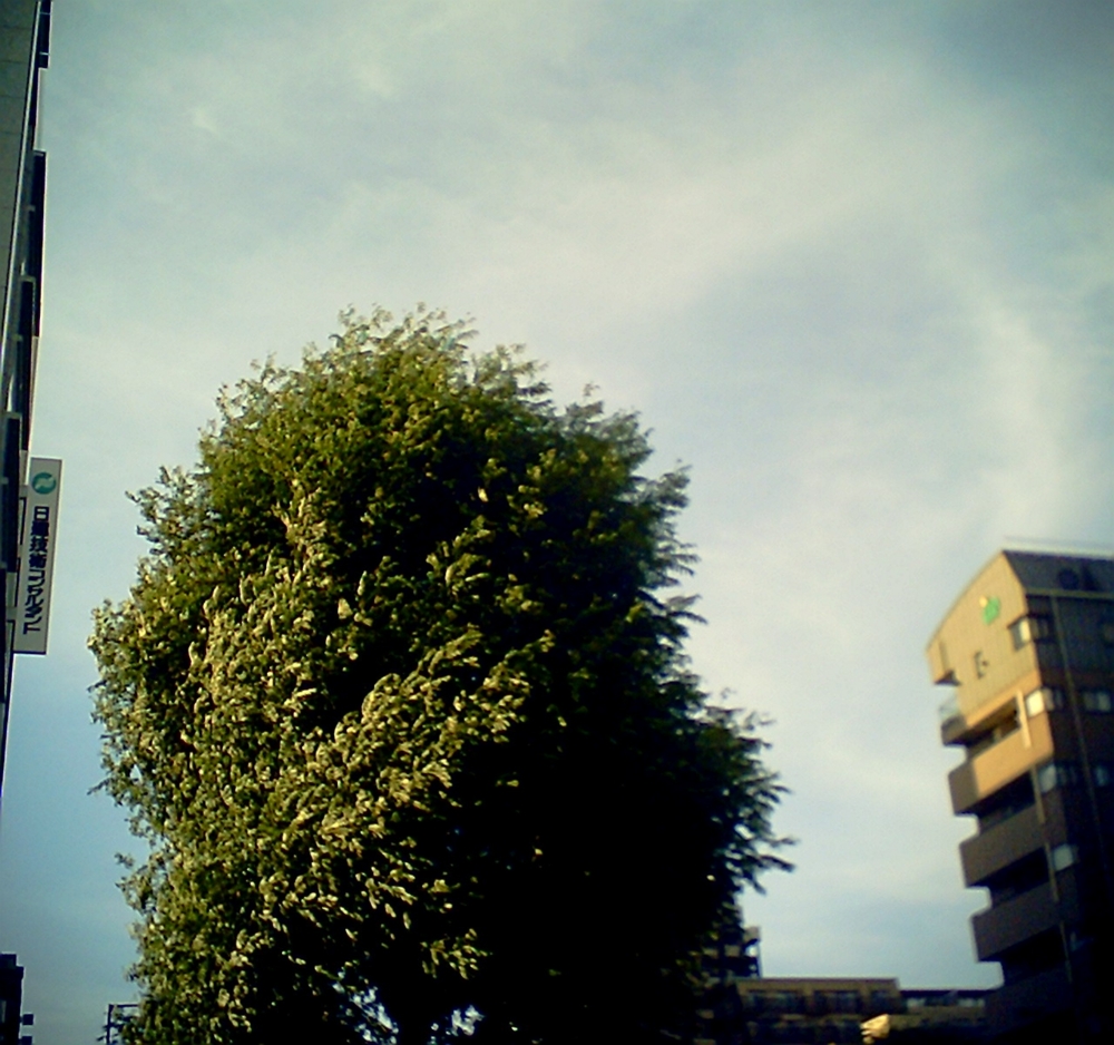 f:id:toya:20100719191803j:image:w100