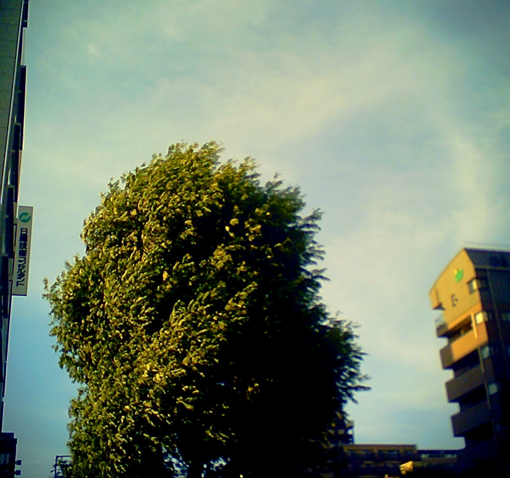 f:id:toya:20100719191804j:image:w100